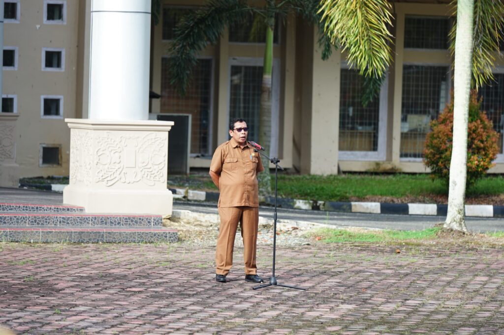 Pelaksana tugas (Plt) Kepala Dinas Penanaman Modal dan Pelayanan Terpadu Satu Pintu (DPMPTSP) Kabupaten Nagan Raya, Hizbulwatan