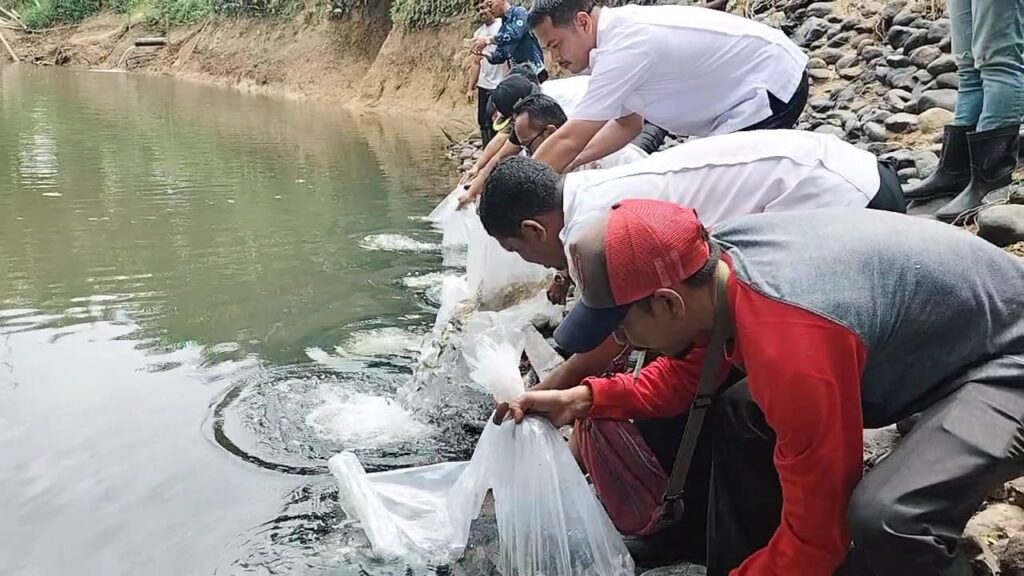 PT. BSP Bersama Pemerintah melakukan penebaran benih ikan di krueng trang mewarnai Hari Lingkungan Hidup Sedunia di Nagan raya.