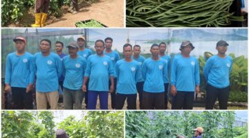 Lapas Banjarbaru Gelar Pembinaan Kemandirian di Sentra Sayur untuk Warga Binaan