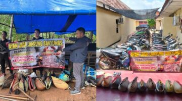 Aparat kepolisian Polsek Sukoharjo Gerbek Judi Sabung ayam Di Pekon Banyumas