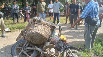 Diduga Karena Sakit, Warga Desa Cinta Makmur Ditemukan Meninggal di Jalan Kebun PT. PAL Panai Tengah.