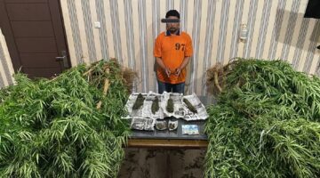 Terkait Penanaman Narkotika Jenis Ganja, Dua Petani Diciduk Polisi di Desa Lingga