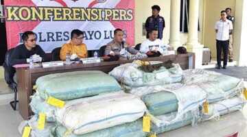 Empat Belas Karung Ganja Ditemukan di Sungai Agusen, Polda Aceh Puji Respons Cepat Polres Gayo Lues