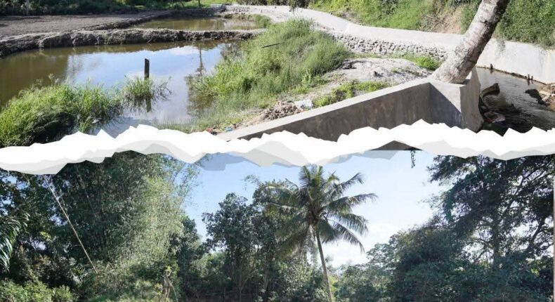 foto slider headline