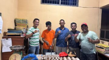 Ratusan Paket Ganja Siap Edar dan Pelaku Diamankan Team Unit Reskrim Polsek Bilah Hilir di Negeri Lama.