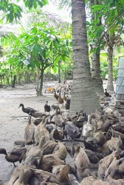 berita-rekomendasi-foto