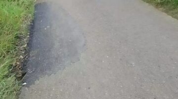 Bantuan Gubernur di Desa Mandalasari Diduga Dikerjakan Asal-Asalan, Kualitas tidak produktip