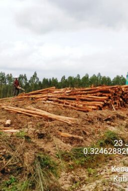 berita-rekomendasi-foto