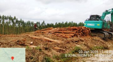 Diduga Abaikan Putusan MA, Aktivitas Penebangan PT Arara Abadi Masih Berlangsung di Lahan Adat Batin Senger