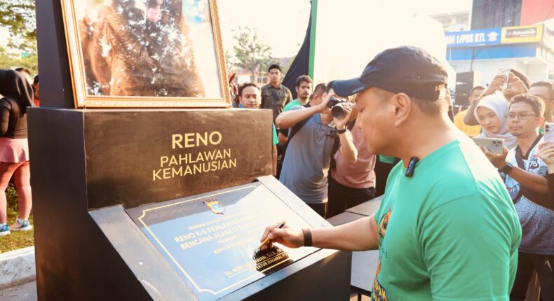 foto slider headline