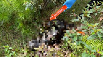 Penemuan Jasad Lansia di Belakang Rumah Warga Dabun Gelang, Pemeriksaan Medis Pastikan Bukan Korban Kekerasan