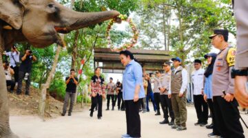Kapolri-Titiek Soeharto Tinjau TNTN: Dukung Pelestarian Gajah hingga Tanam Pohon