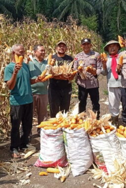 berita-rekomendasi-foto